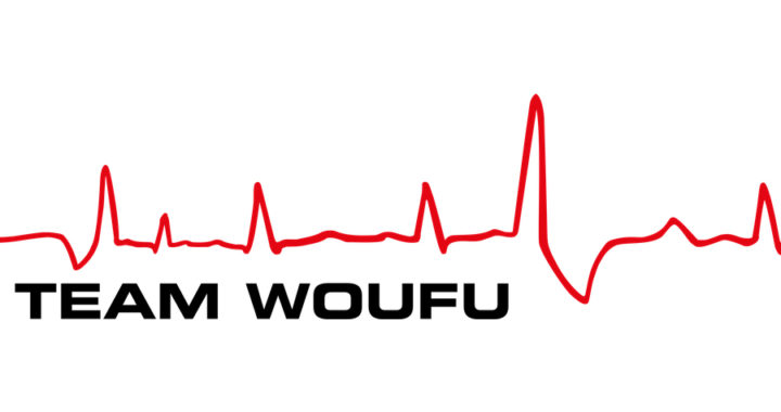 Logo Team Woufu